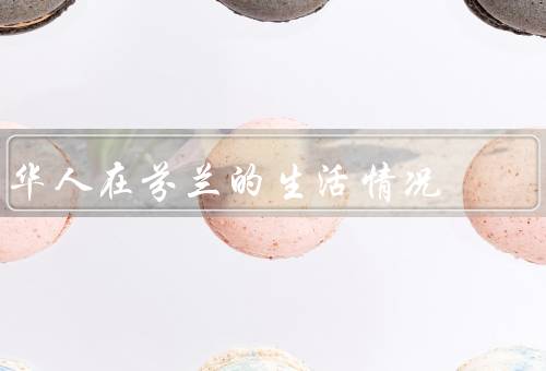 华人在芬兰的生活情况，华人社区、语言障碍、就业问题