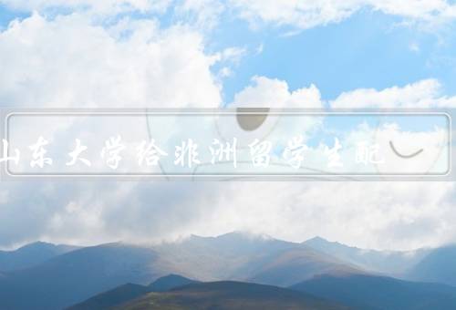 山东大学给非洲留学生配，留学生招募与录取、语言学习支持