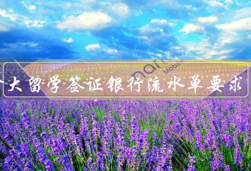 加拿大留学签证银行流水单要求（银行流水单的要求）
