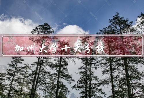 加州大学十大分校（伯克利分校、加州大学洛杉矶分校、圣地亚哥分校）