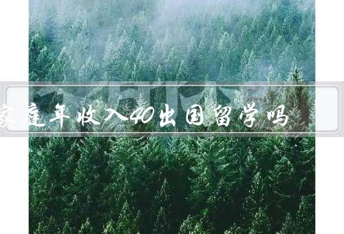 家庭年收入40万能出国留学吗（家庭年收入40万与留学费用）