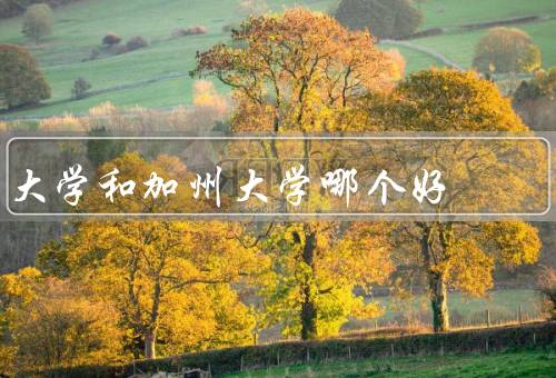 华盛顿大学和加州大学哪个好（学术声誉／教学质量／校园环境）