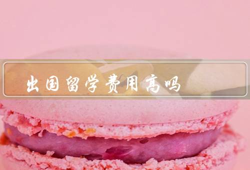 出国留学费用高吗（留学费用构成、奖学金和助学金、价值与回报）