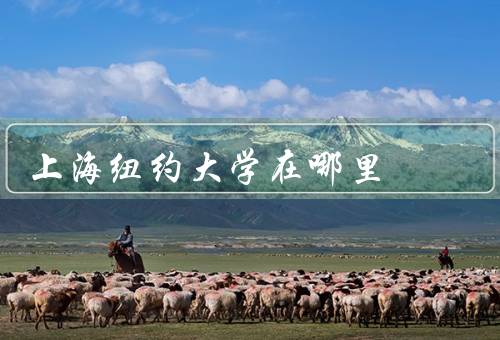 上海纽约大学在哪里（位置、重要性、未来）