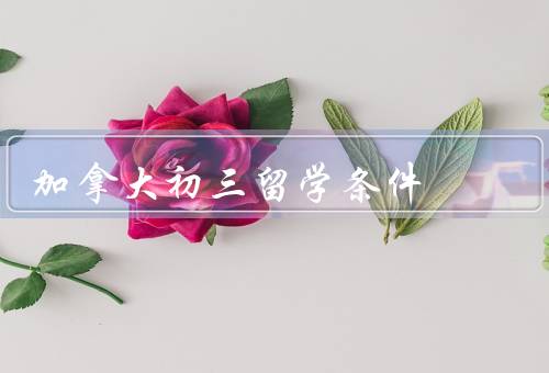 加拿大初三留学条件，条件、申请流程、生活