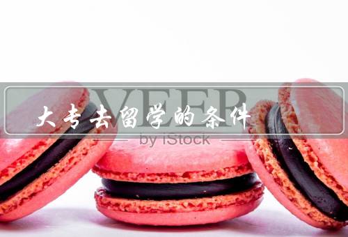 大专去香港留学的条件，学历要求、语言能力、经济能力