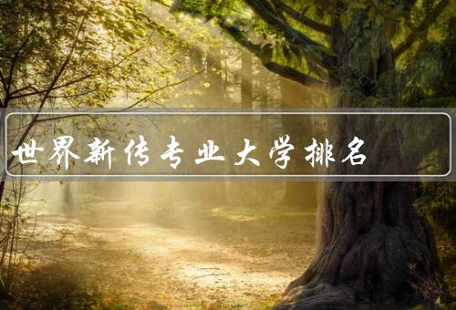 世界新传专业大学排名，方法／结果／意义
