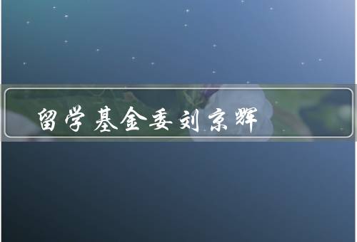 国家留学基金委刘京辉（背景、贡献、影响）