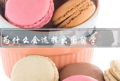 为什么会选择出国留学（提高学术水平／拓宽国际视野）