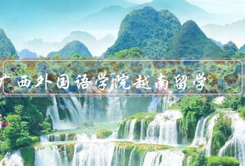 广西外国语学院越南留学（越南留学生人数不断增加）