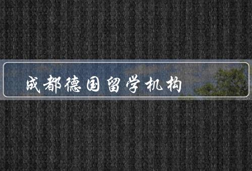 成都德国留学机构