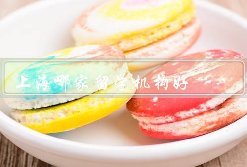 上海哪家留学机构好，专业性强／口碑良好／综合实力强