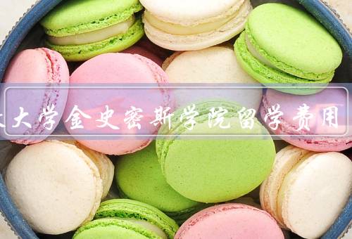 伦敦大学金史密斯学院留学费用（学费／生活费／奖学金和助学金）