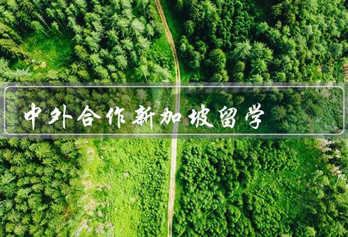 中外合作新加坡留学，背景／优势／挑战