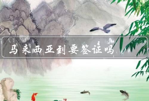 马来西亚到香港要签证吗，种类、办理流程、注意事项