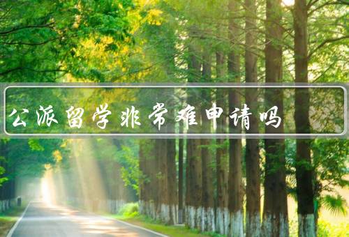 公派留学非常难申请吗（准备材料／竞争激烈／申请流程）