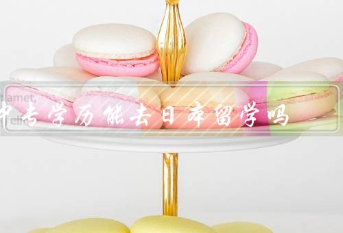 中专学历能去日本留学吗，中专学历的优势／了解日本的留学政策
