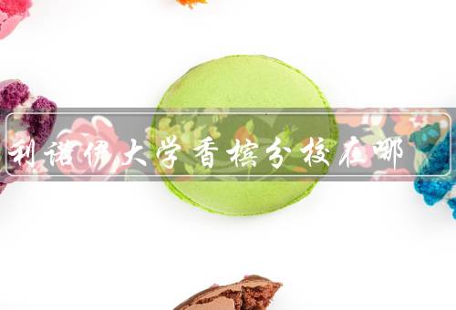 伊利诺伊大学香槟分校在哪，校园地理位置、香槟市的特点