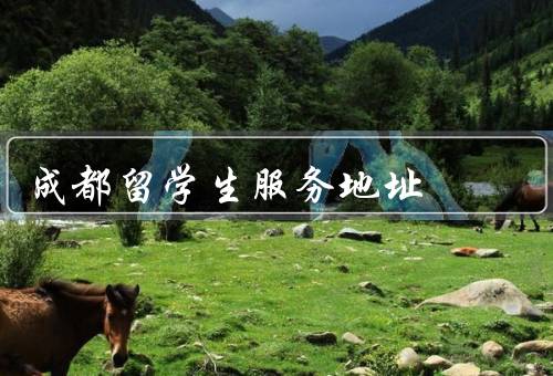 成都留学生服务中心地址，地址／服务内容／设施