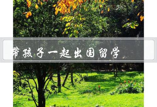 带孩子一起出国留学，适合的目的地／合适的学校