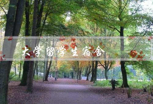 人民大学留学生宿舍，宿舍环境优美、安全设施完善