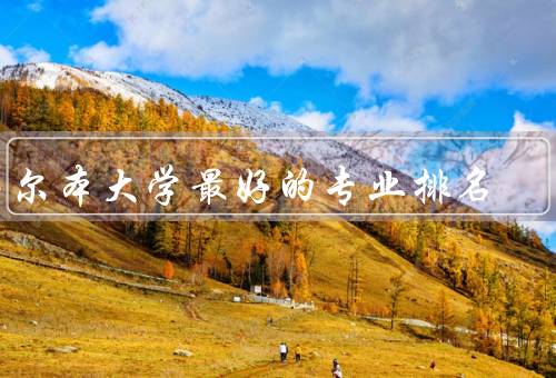墨尔本大学最好的专业排名，医学专业、商科专业、计算机科学专业