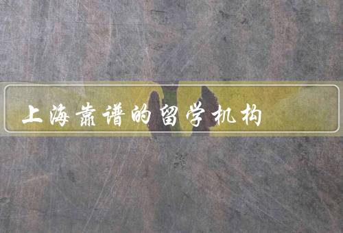 上海靠谱的留学机构（教育中心、之家、生活中心）