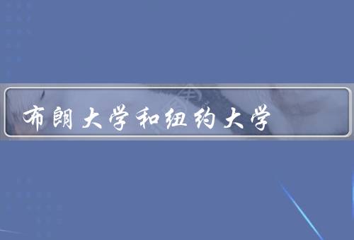 布朗大学和纽约大学，布朗大学／纽约大学／总结