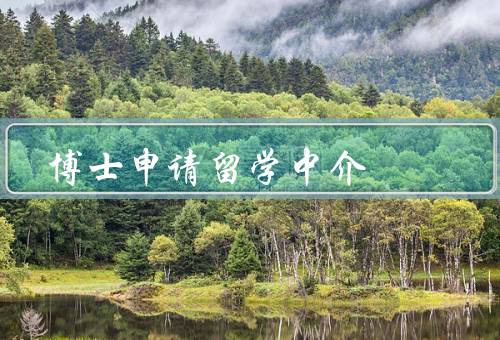 博士申请留学中介（协助选校／申请材料指导／面试辅导）