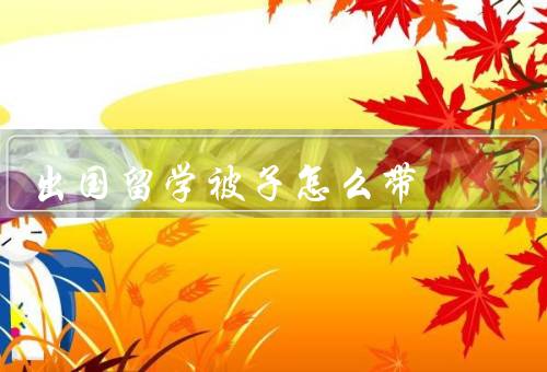 出国留学被子怎么带（选择合适的被子、挑选适合的袋子）