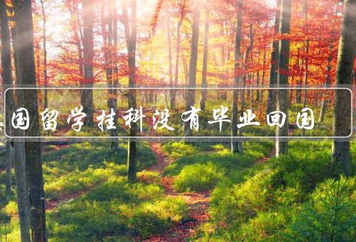 德国留学挂科没有毕业回国，影响留学生的学业／可能导致经济压力