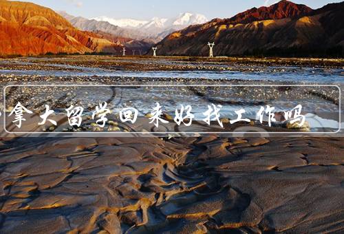 加拿大留学回来好找工作吗，留学经历的优势／就业市场的竞争