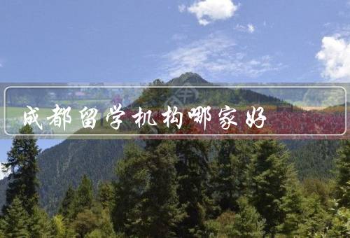 成都留学机构哪家好，中心／华阳教育中心／教育中心