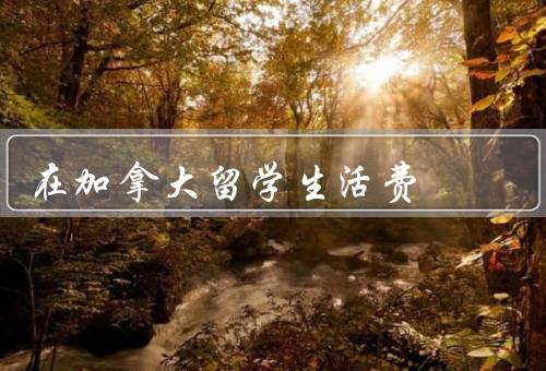 在加拿大留学生活费