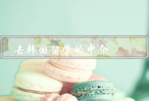 去韩国留学的中介，专业指导／服务保障／资源优势