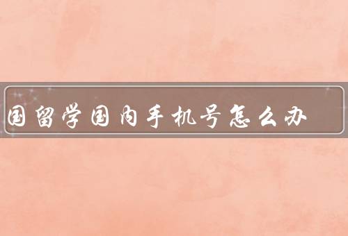 出国留学国内手机号怎么办，国际漫游业务／使用云通讯服务