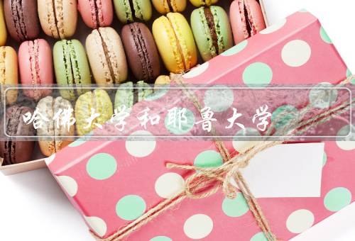 哈佛大学和耶鲁大学（哈佛大学、耶鲁大学、共同点）