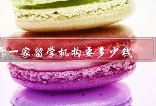 开一家留学机构要多少钱（场地租赁与装修、设备购置与软件开发）