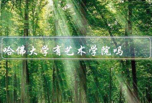 哈佛大学有艺术学院吗，哈佛大学艺术博物馆／人文科学中心