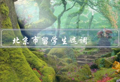 北京市留学生选调（背景／条件／优惠政策）
