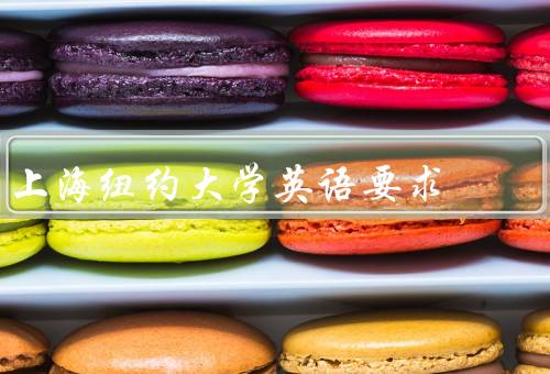 上海纽约大学英语要求（口语能力／写作能力／听说读写能力）