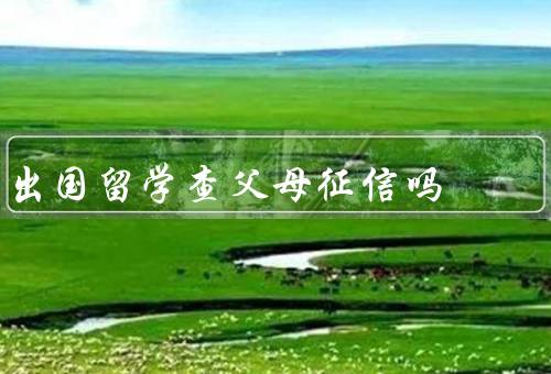 出国留学查父母征信吗（留学签证的要求／留学中介的要求）