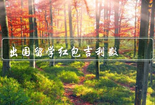 出国留学红包吉利数（数额的讲究、金额的含义、赠送方式）