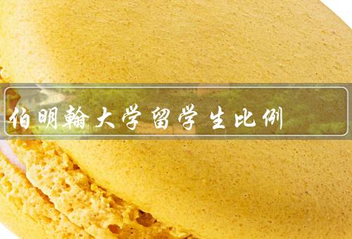 伯明翰大学留学生比例（比例／来源国家／支持服务）