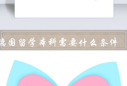 去德国留学本科需要什么条件，语言能力／学历背景／财务能力