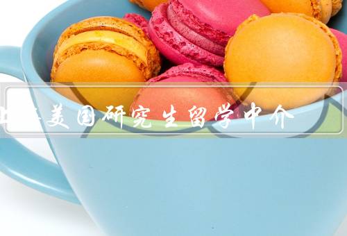 上海美国研究生留学中介，选校咨询／申请指导／文书编辑与签证辅助