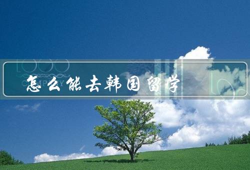 怎么能去韩国留学（申请学校和签证、了解韩国的教育体制）