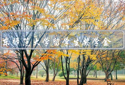 华东师范大学留学生奖学金，奖学金类型／条件／流程