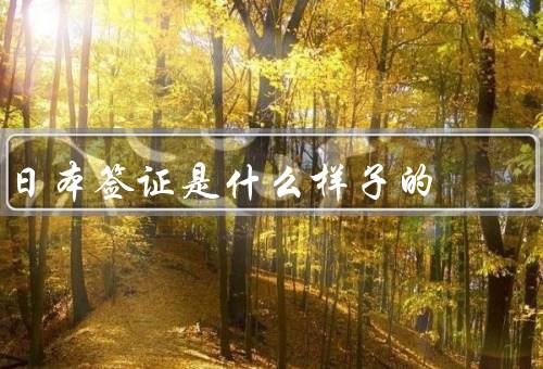 日本签证是什么样子的（签证种类、申请步骤、注意事项）