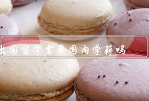 出国留学需要国内学籍吗（作用／办理／维护）